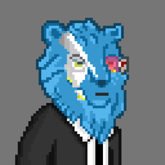 Developer Krug
